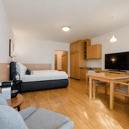 Apartment Studiowohnungen Am Rieger-hof Hartmannsdorf